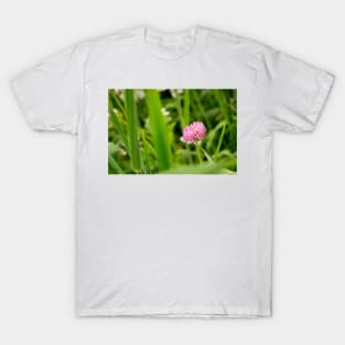 fli clover T-Shirt